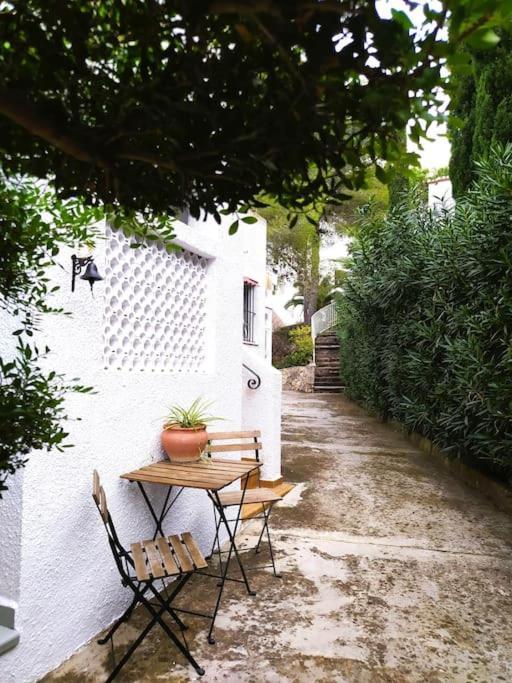 La Casa De Palmeras *